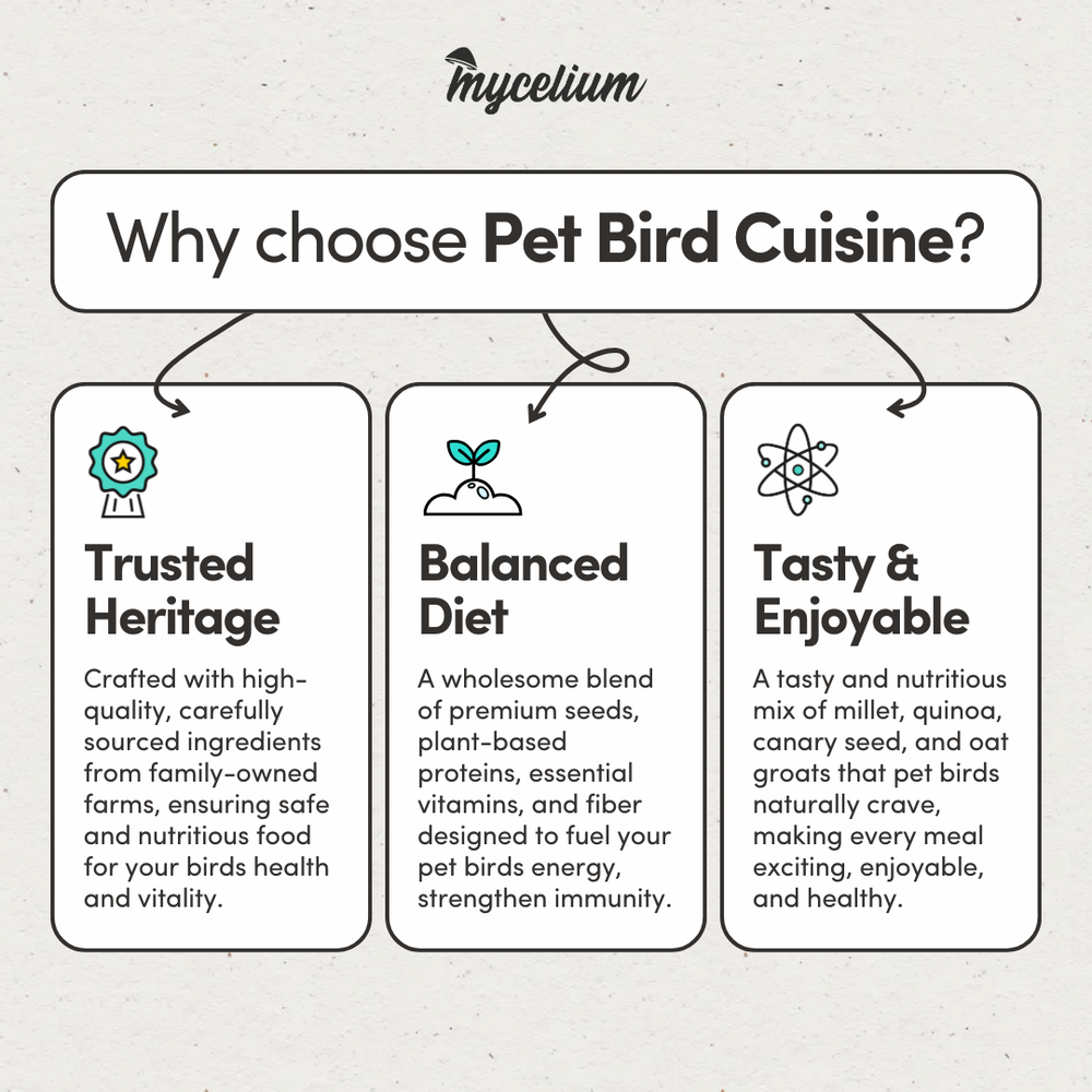 
                      
                        Pet Bird Cuisine
                      
                    