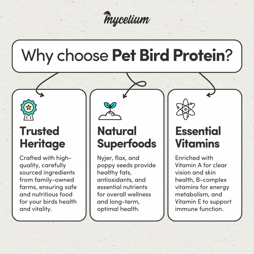 
                      
                        Pet Bird Protein
                      
                    