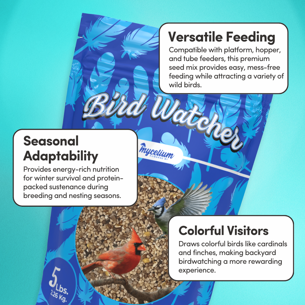 
                      
                        Bird Watcher Feed
                      
                    