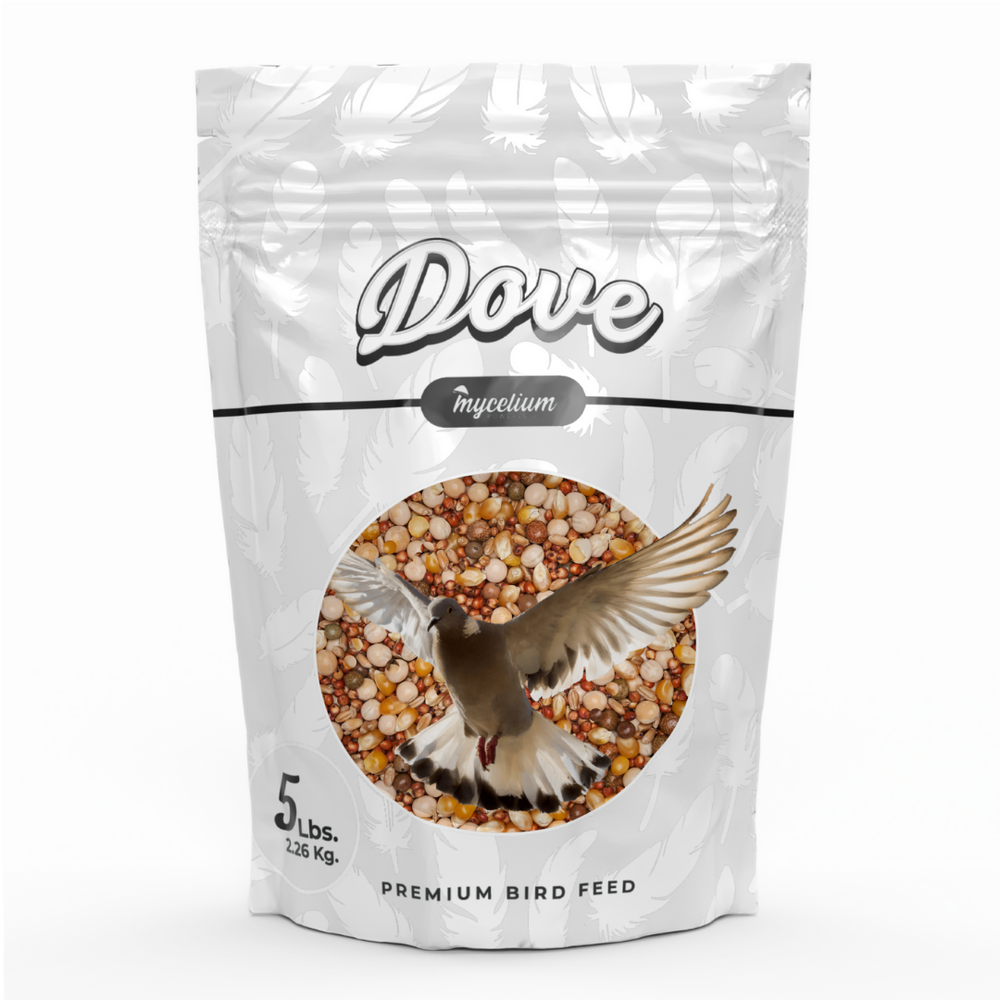 
                      
                        Dove Plus
                      
                    