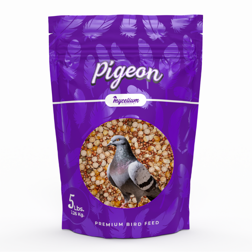 Pigeon Plus