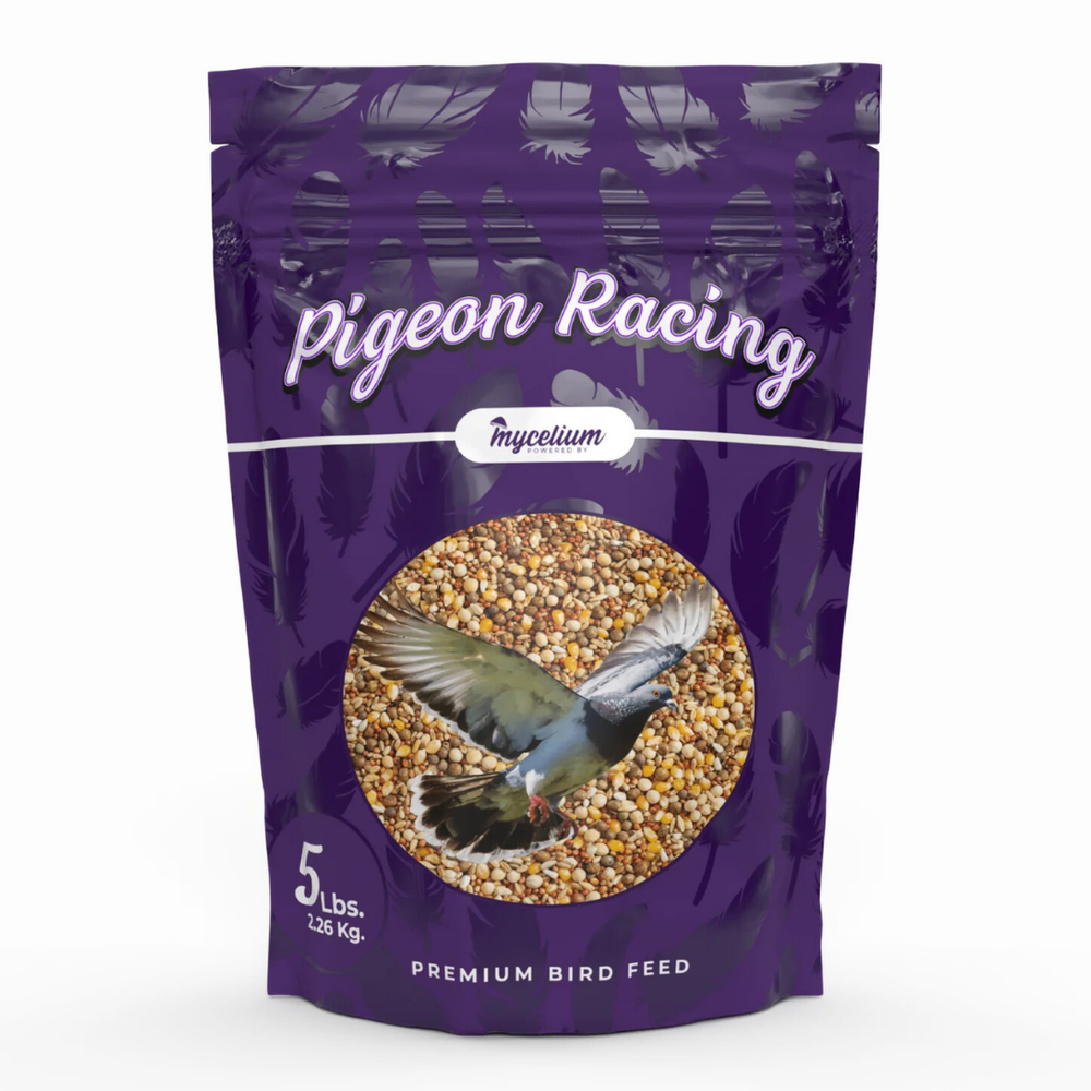 
                      
                        Pigeon Racing Feed
                      
                    