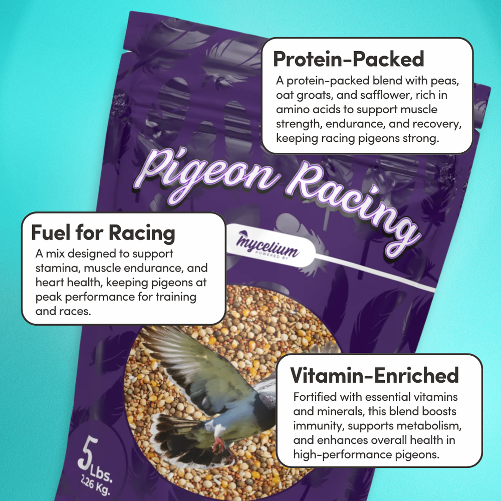 
                      
                        Pigeon Racing Feed
                      
                    