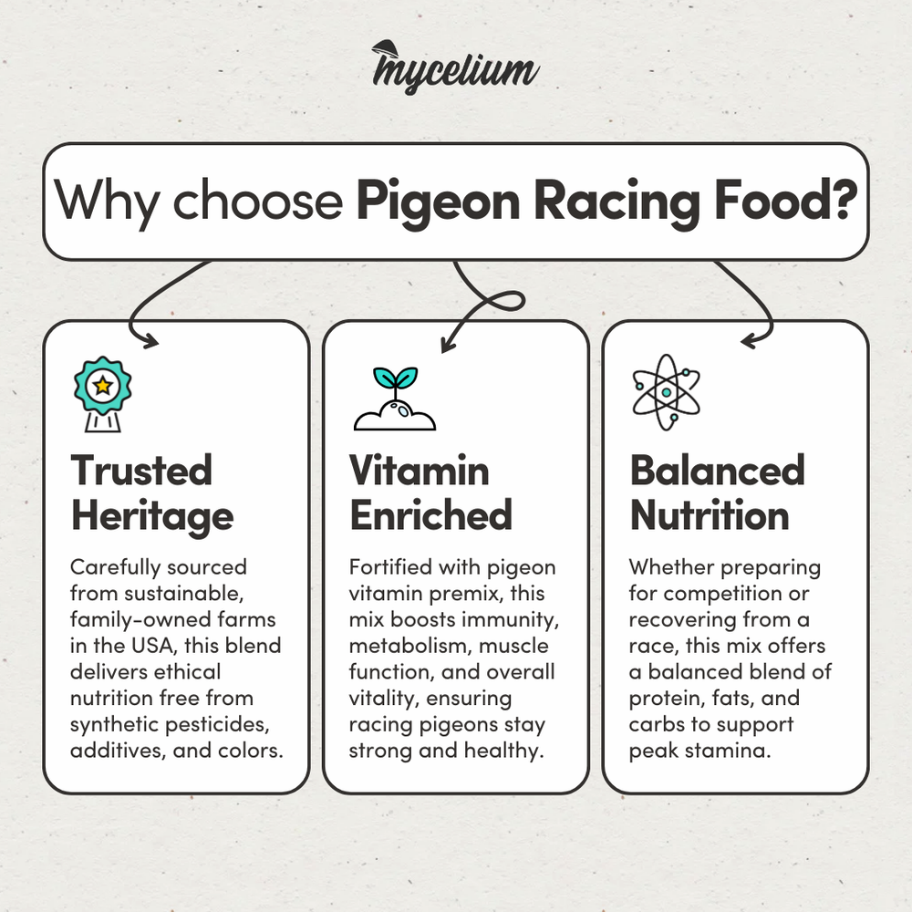 
                      
                        Pigeon Racing Feed
                      
                    