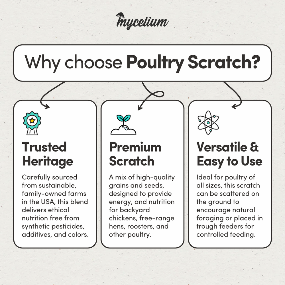 
                      
                        Poultry Scratch
                      
                    