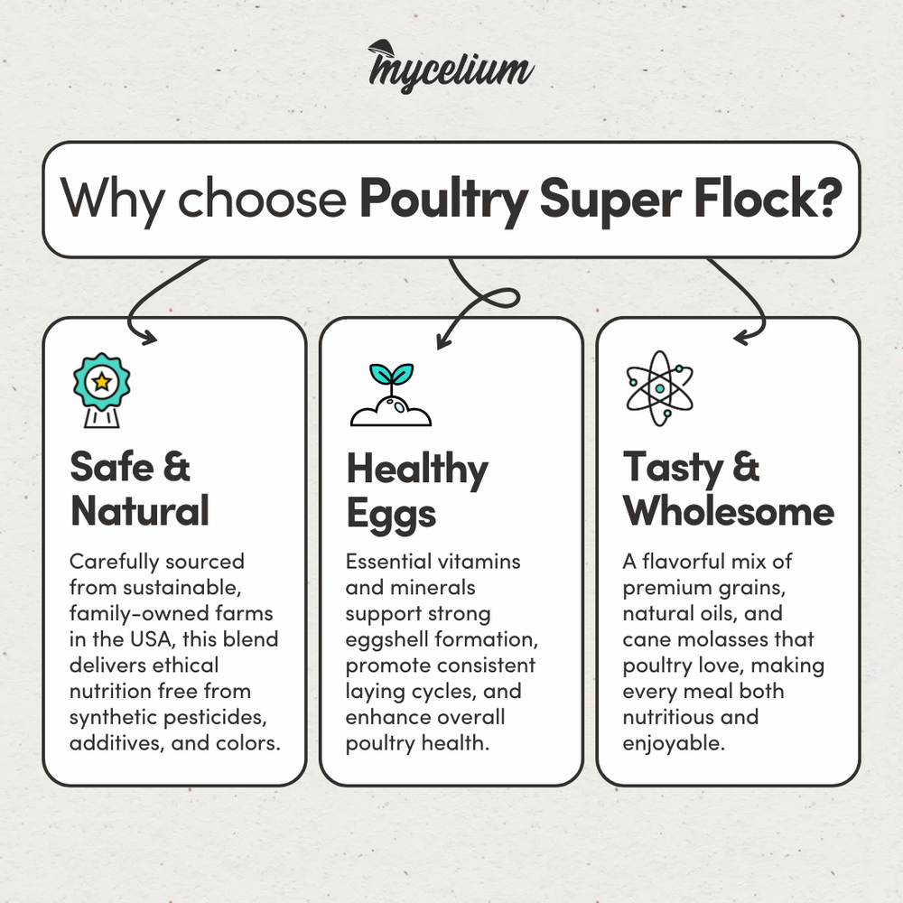 
                      
                        Poultry Super Flock
                      
                    