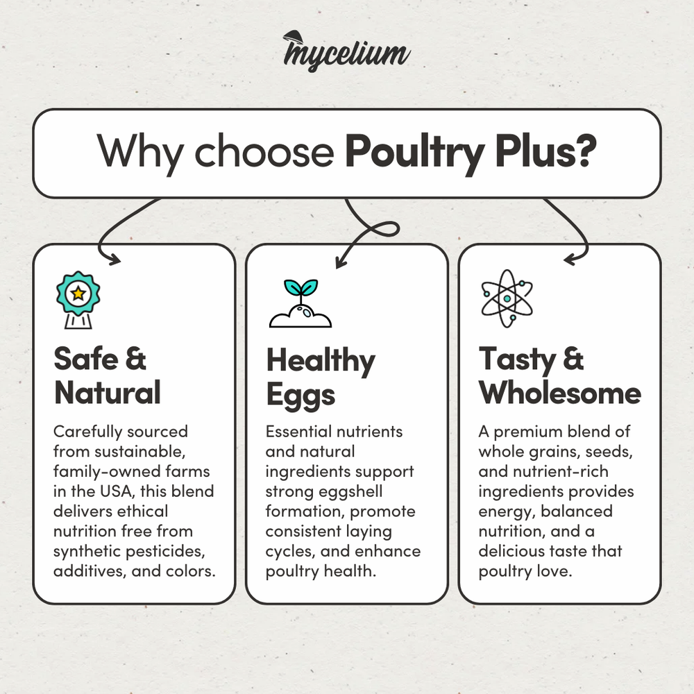 
                      
                        Poultry Plus
                      
                    