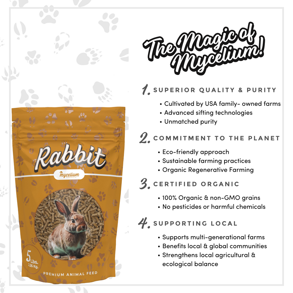 
                      
                        Rabbit Feed
                      
                    