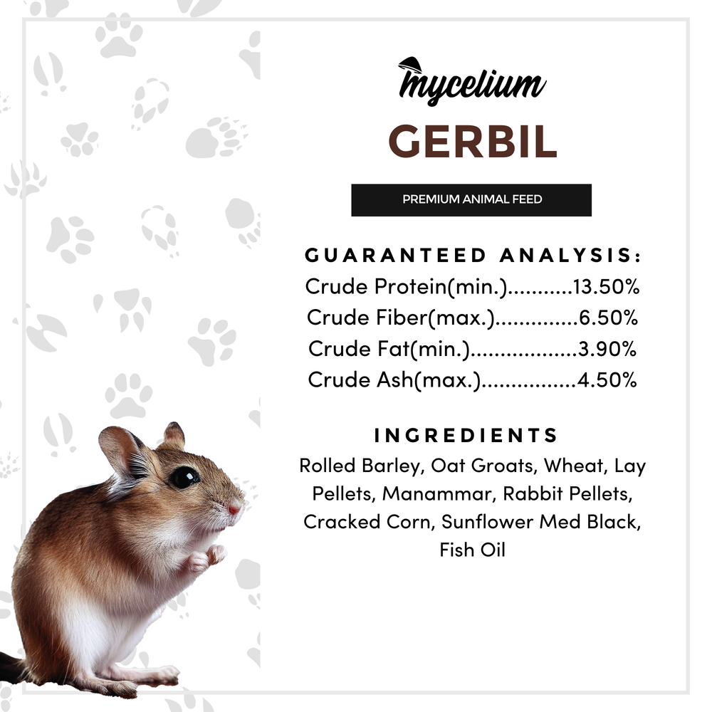 
                      
                        Gerbil Feed
                      
                    