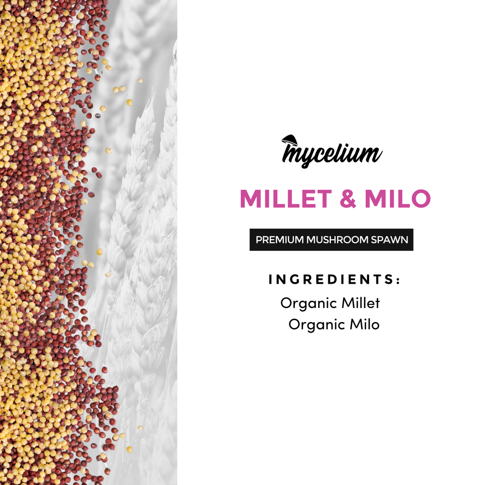 
                      
                        Millet & Milo Grain Mix
                      
                    