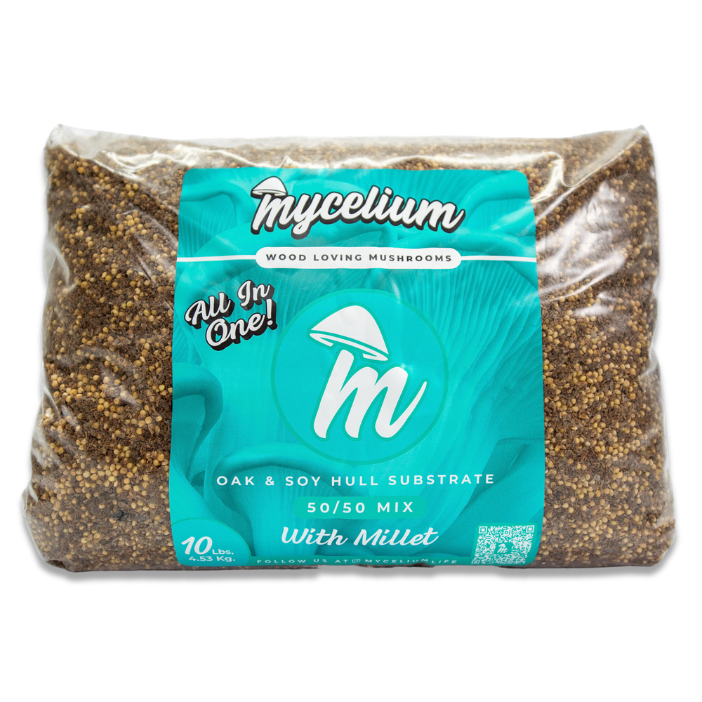 
                      
                        Oak & Soy with Millet Grain All-In-One Bag
                      
                    