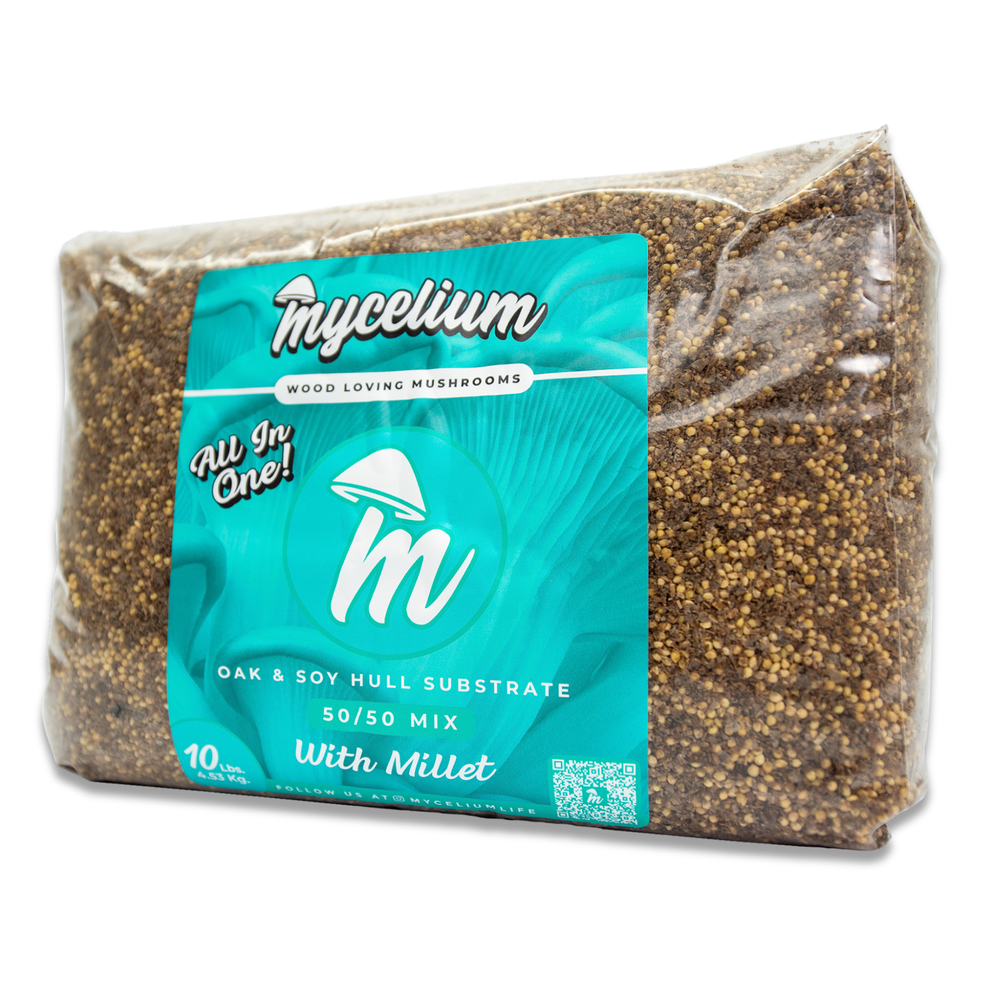 
                      
                        Oak & Soy with Millet Grain All-In-One Bag
                      
                    