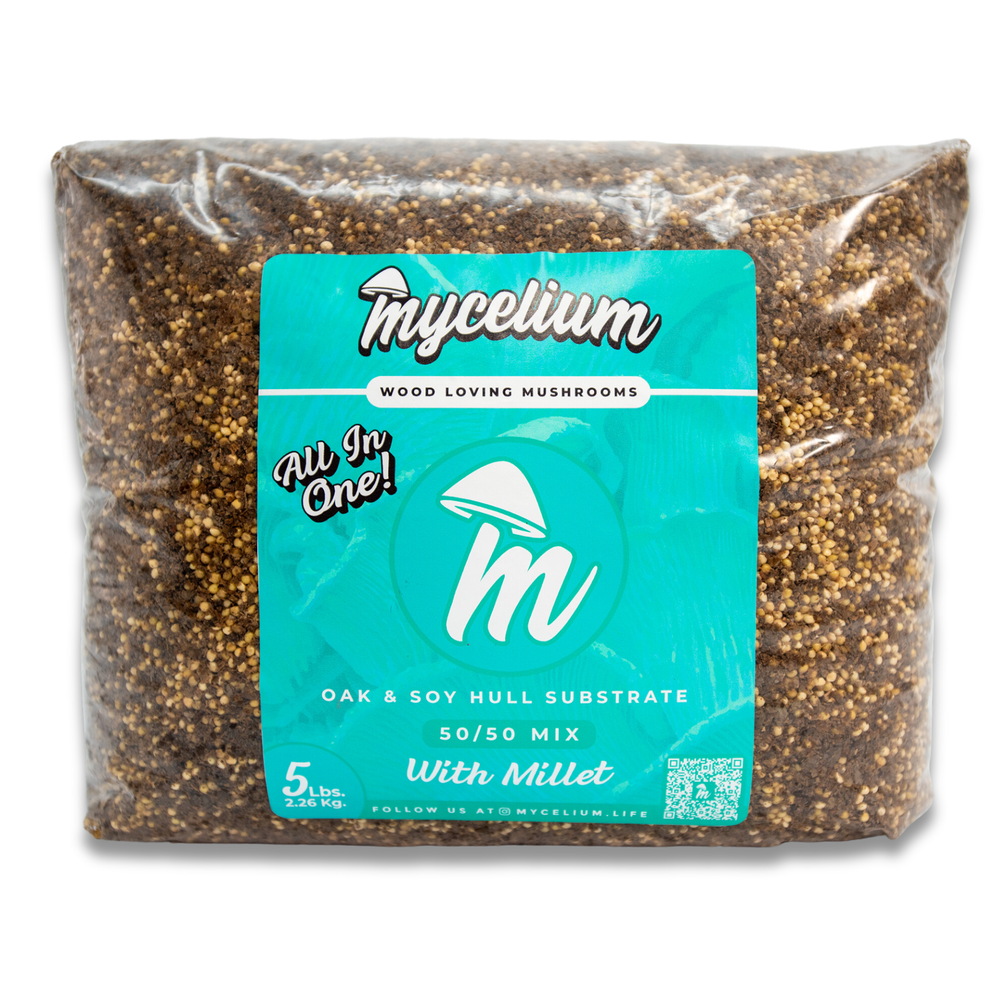 
                      
                        Oak & Soy with Millet Grain All-In-One Bag
                      
                    