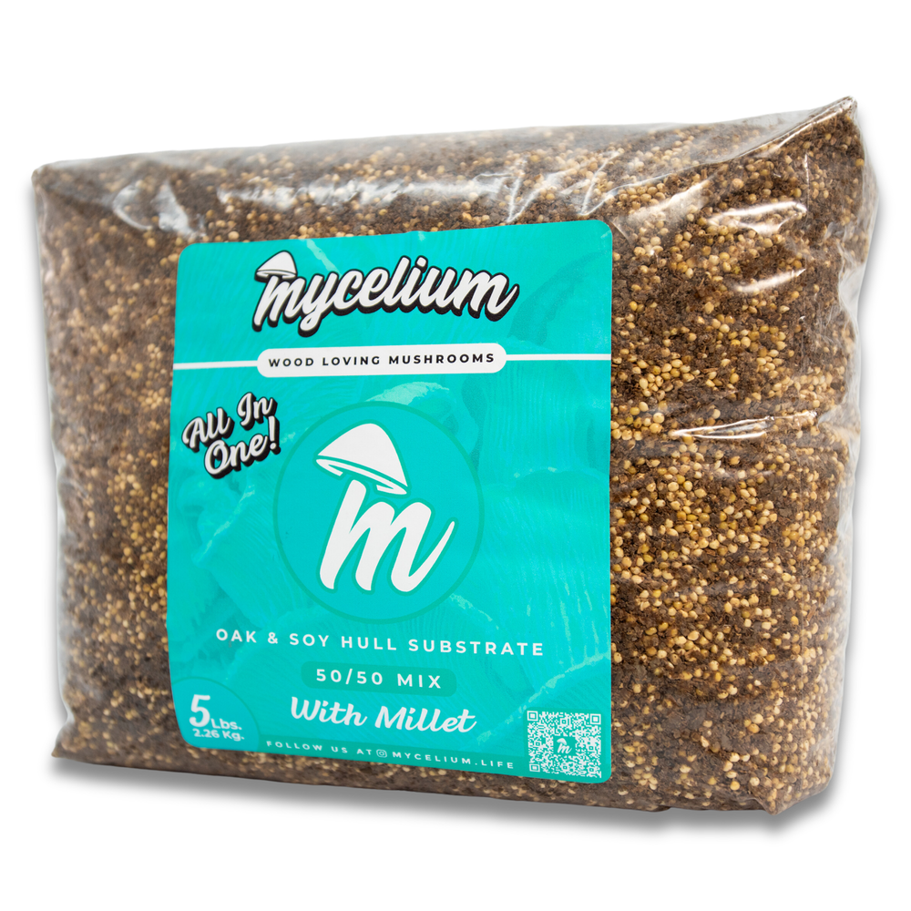 
                      
                        Oak & Soy with Millet Grain All-In-One Bag
                      
                    