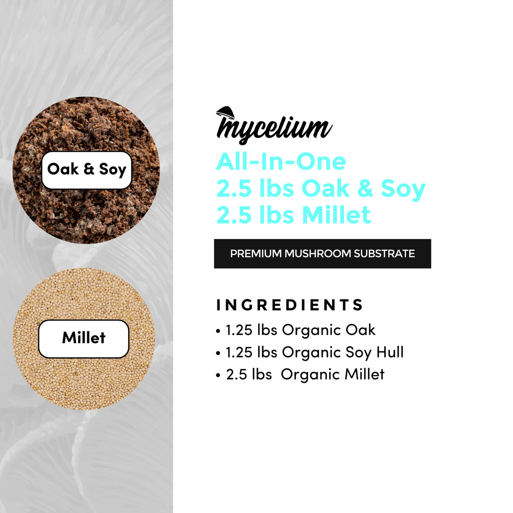 
                      
                        Oak & Soy with Millet Grain All-In-One Bag
                      
                    