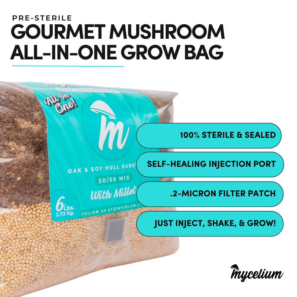 
                      
                        Oak & Soy with Millet Grain All-In-One Bag
                      
                    
