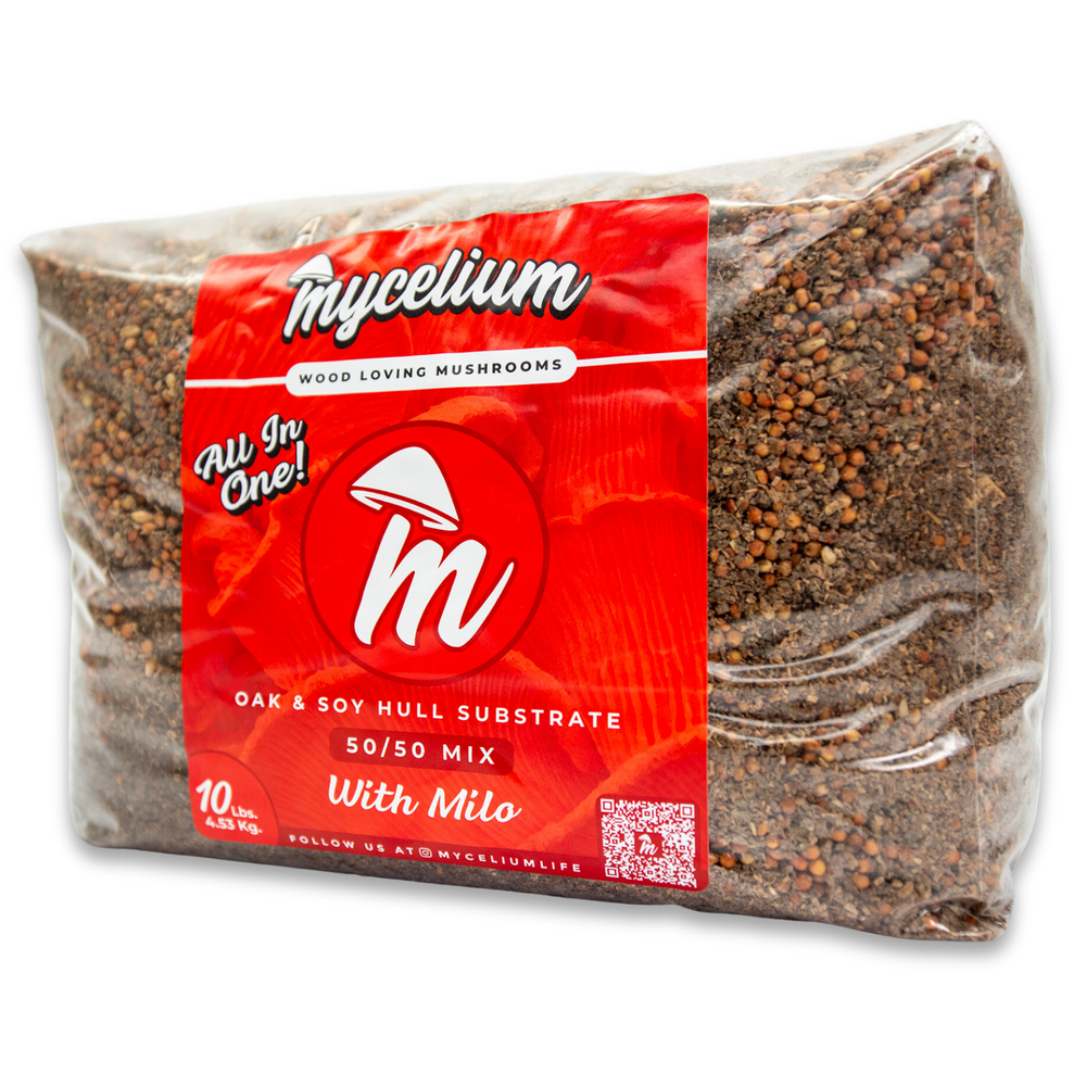 
                      
                        Oak & Soy with Milo Grain All-In-One Bag
                      
                    