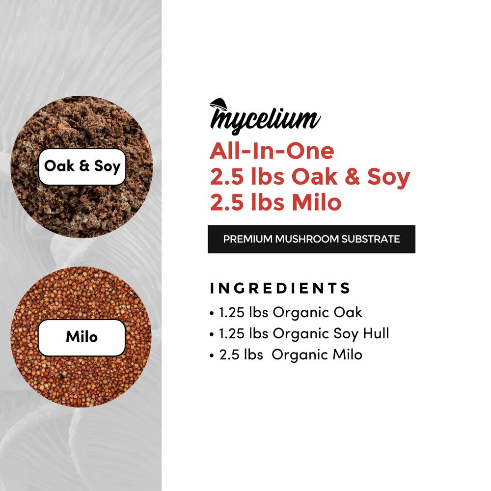 
                      
                        Oak & Soy with Milo Grain All-In-One Bag
                      
                    