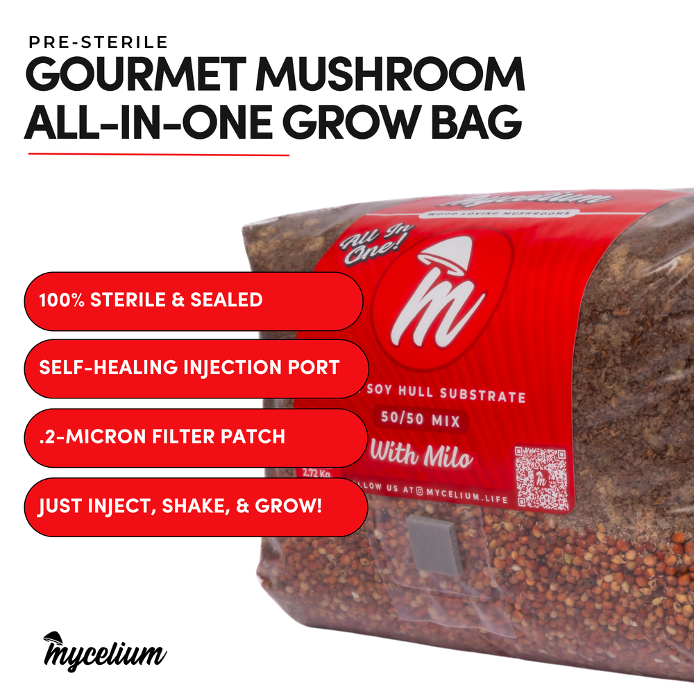 
                      
                        Oak & Soy with Milo Grain All-In-One Bag
                      
                    
