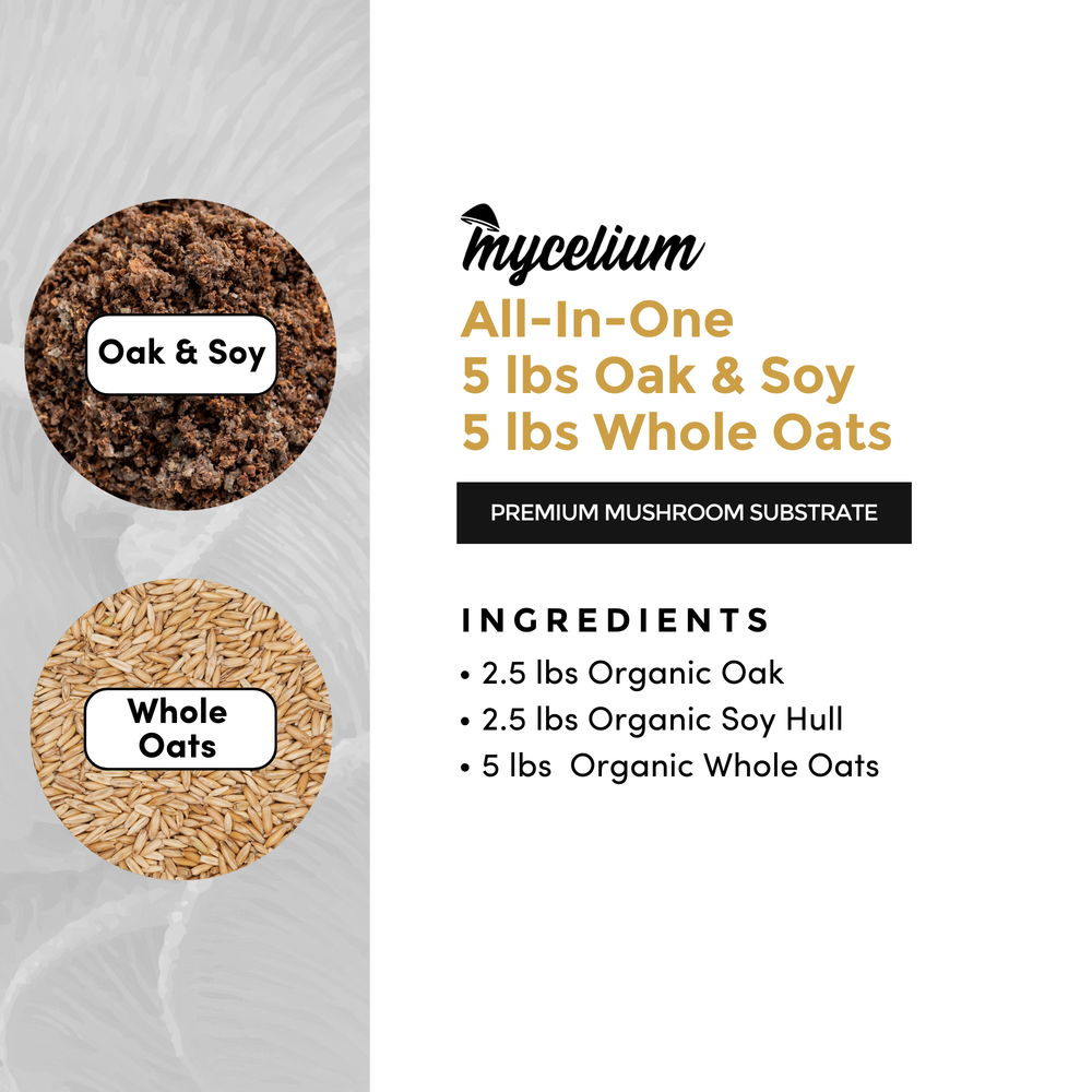 
                      
                        Oak & Soy with Whole Oats Grain All-In-One Bag
                      
                    