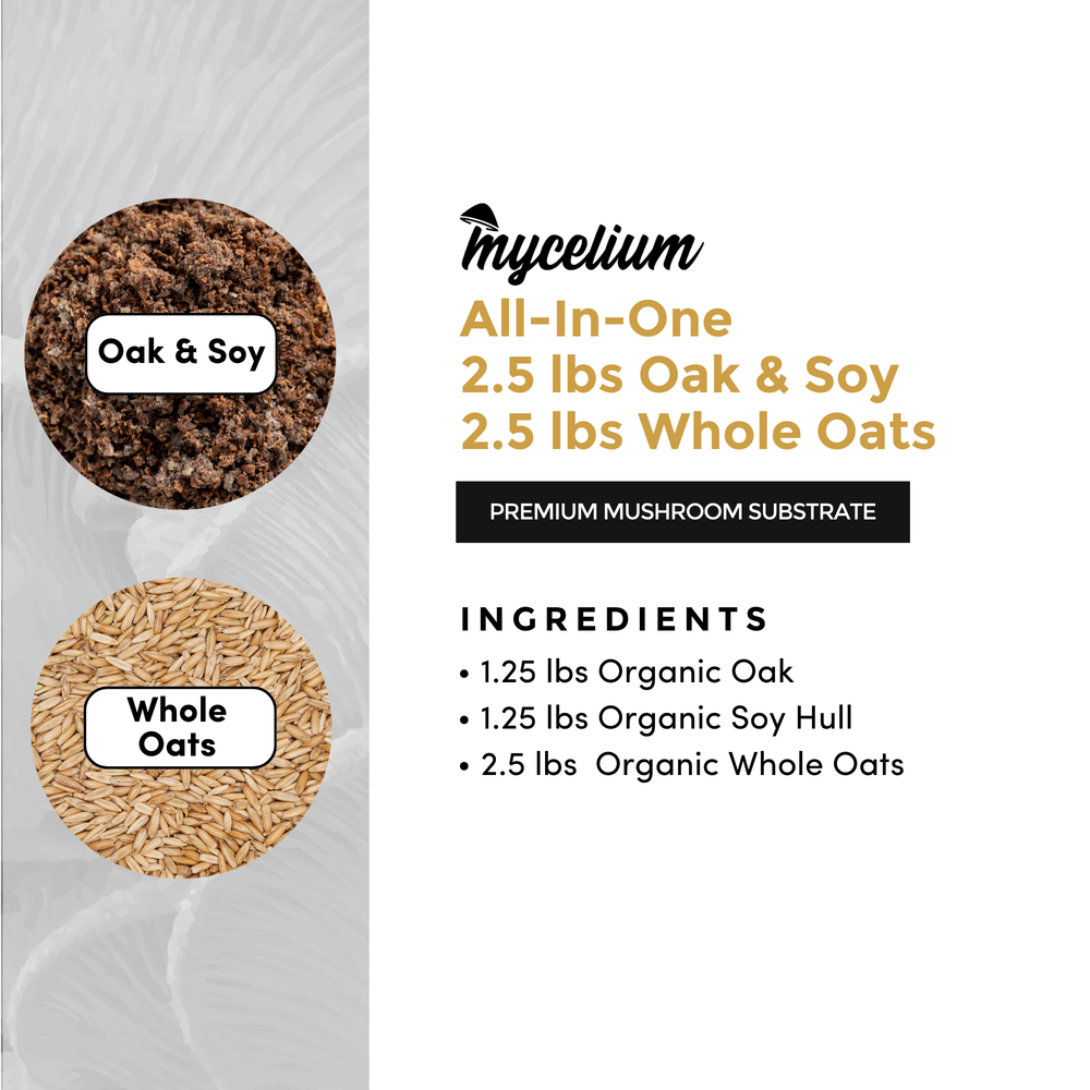 
                      
                        Oak & Soy with Whole Oats Grain All-In-One Bag
                      
                    