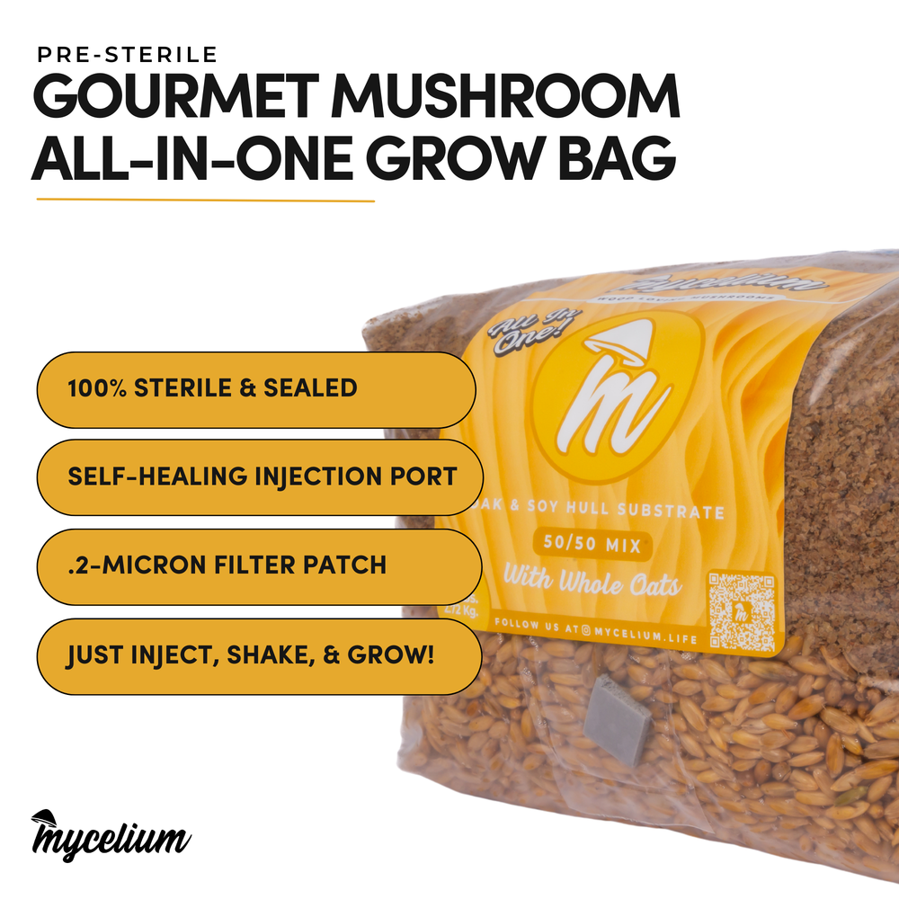 
                      
                        Oak & Soy with Whole Oats Grain All-In-One Bag
                      
                    