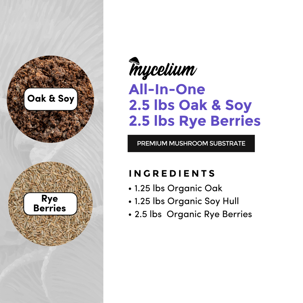 
                      
                        Oak & Soy with Rye Berries Grain All-In-One Bag
                      
                    