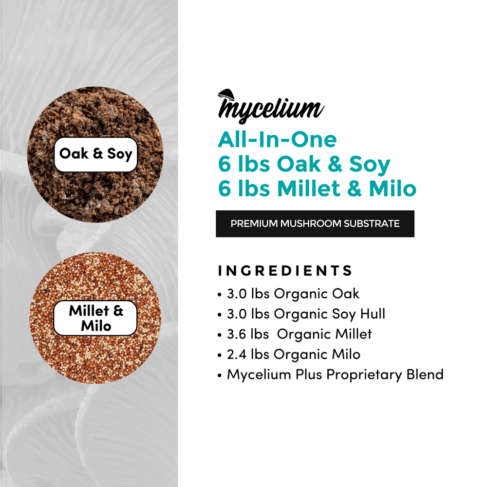 
                      
                        Mycelium+ Oak & Soy with Millet/Milo Grain All-In-One Bag
                      
                    