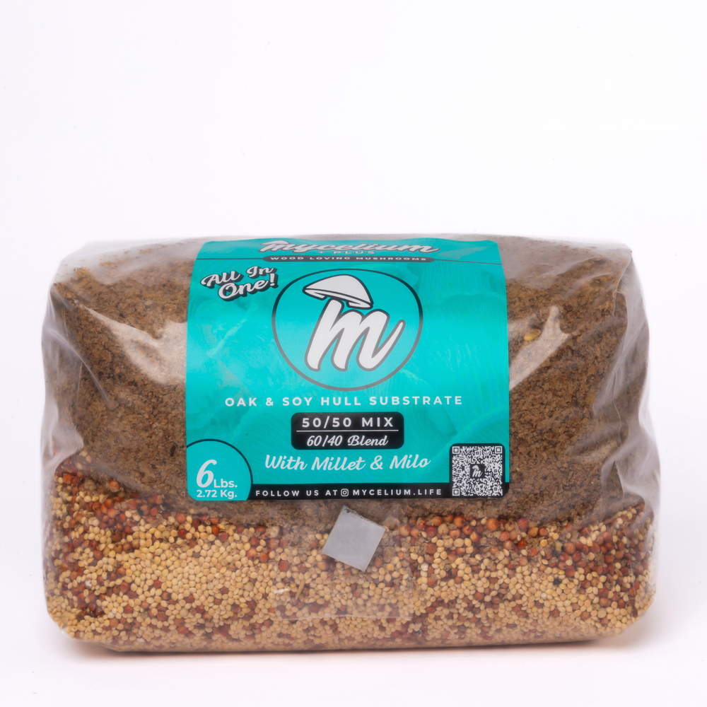 Mycelium+ Oak & Soy with Millet/Milo Grain All-In-One Bag