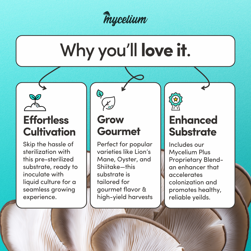 
                      
                        Mycelium+ Oak & Soy with Millet/Milo Grain All-In-One Bag
                      
                    