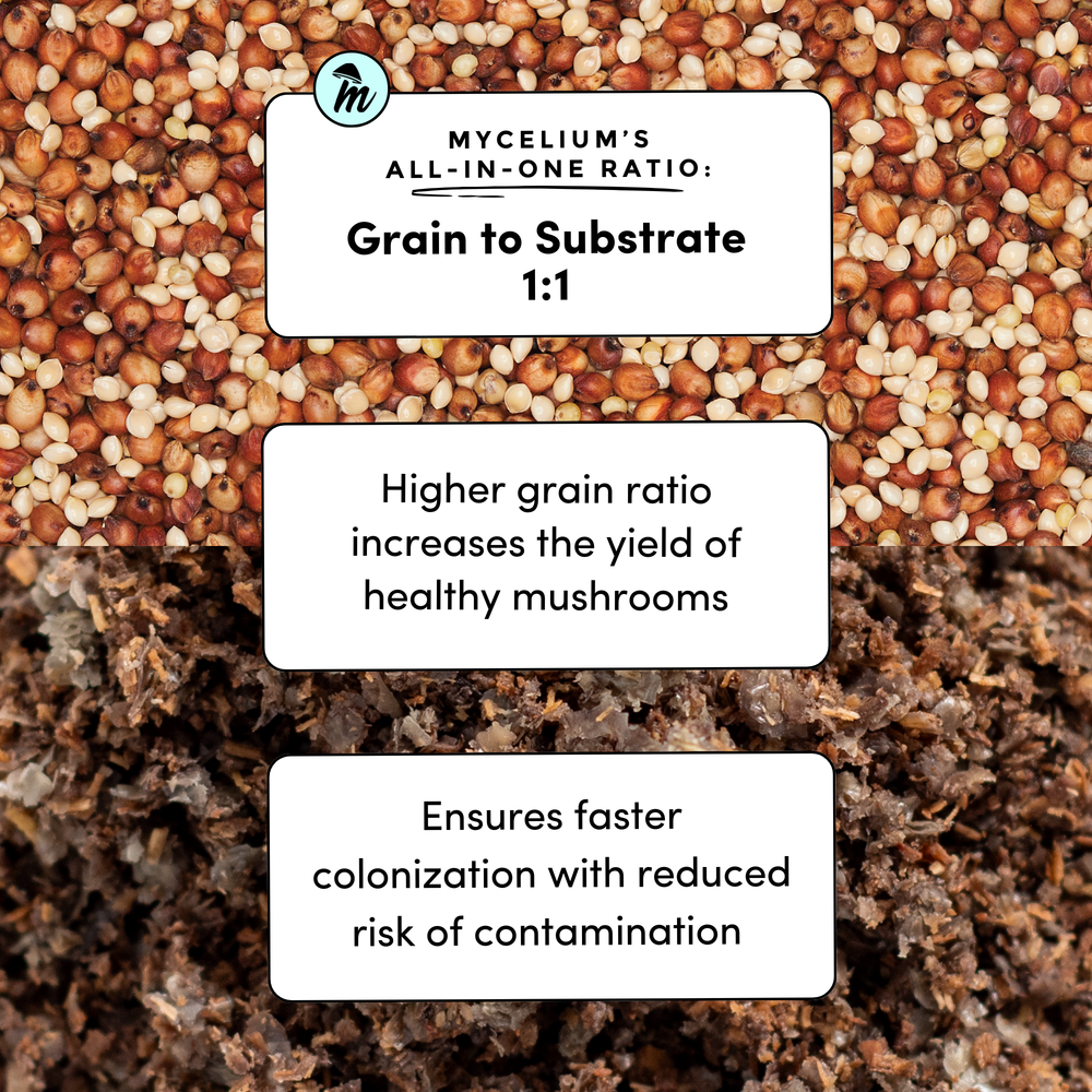 
                      
                        Mycelium+ Oak & Soy with Millet/Milo Grain All-In-One Bag
                      
                    