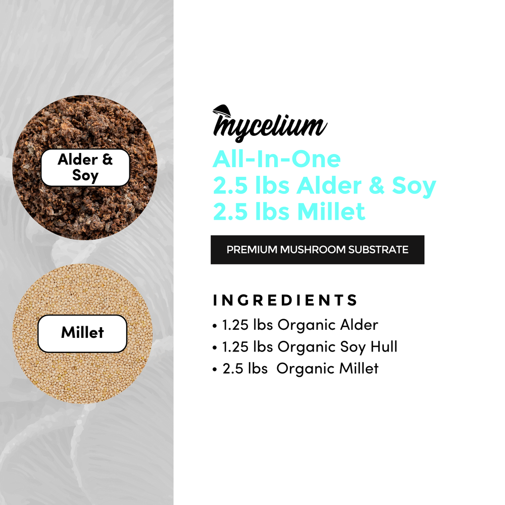 
                      
                        Alder & Soy with Millet Grain All-In-One Bag
                      
                    