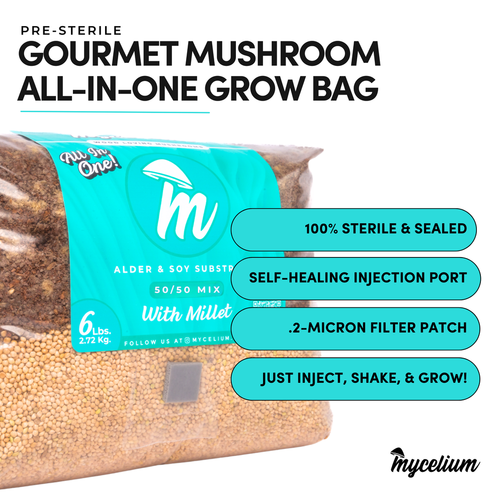 
                      
                        Alder & Soy with Millet Grain All-In-One Bag
                      
                    