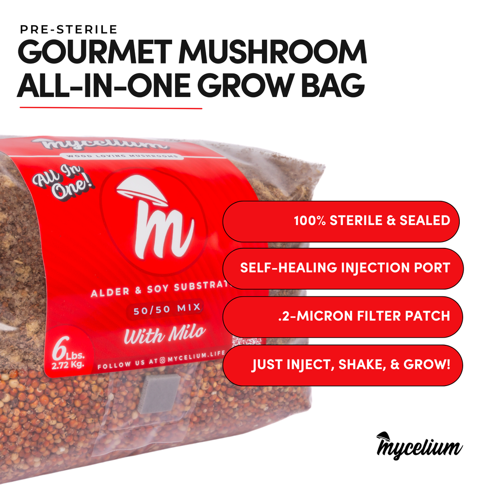 
                      
                        Alder & Soy with Milo Grain All-In-One Bag
                      
                    