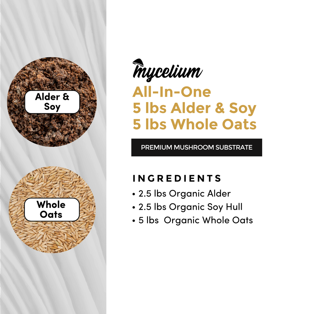 
                      
                        Alder & Soy with Whole Oats Grain All-In-One Bag
                      
                    