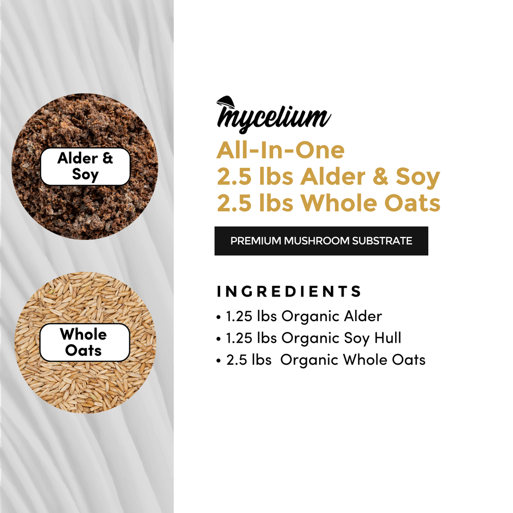 
                      
                        Alder & Soy with Whole Oats Grain All-In-One Bag
                      
                    