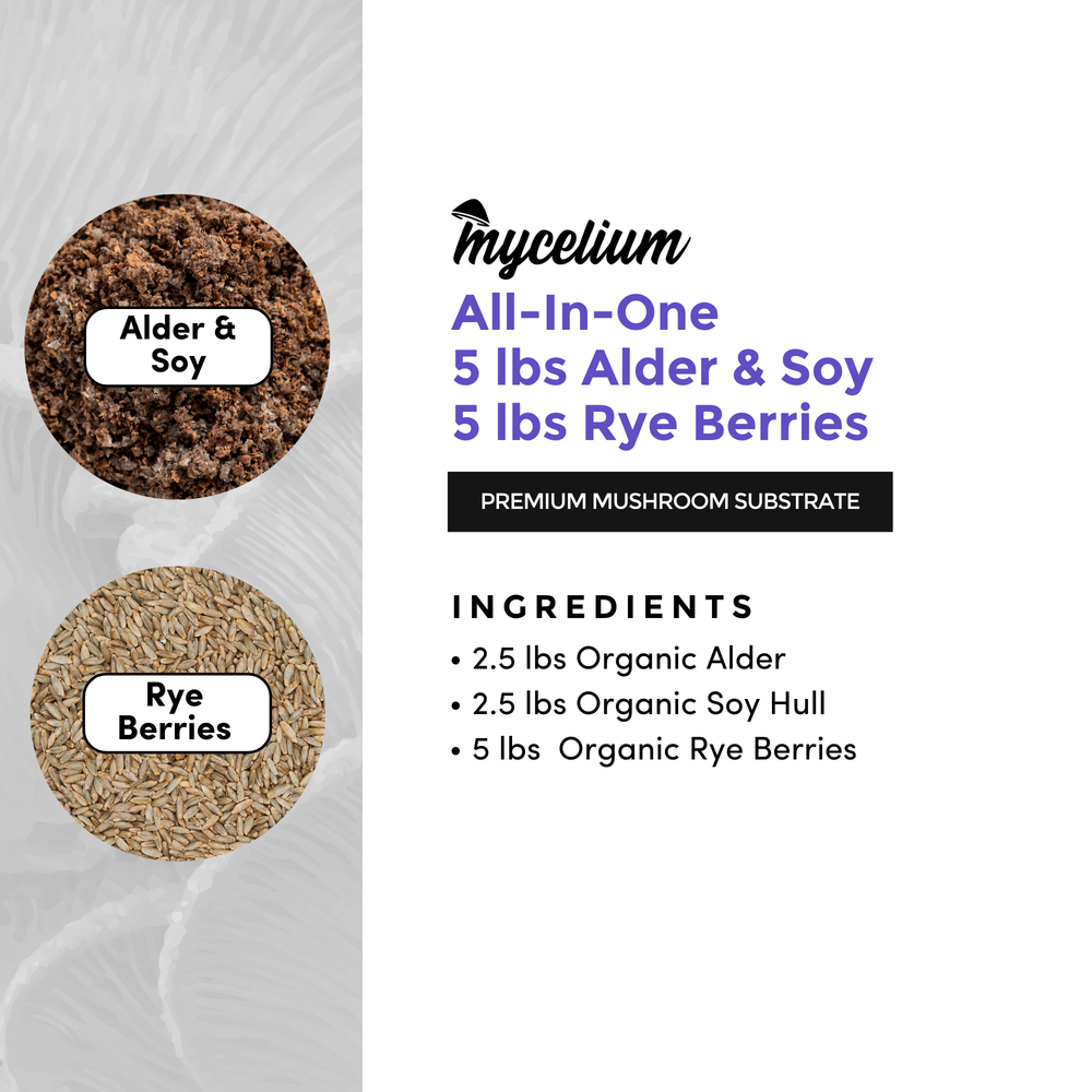 
                      
                        Alder & Soy with Rye Berries Grain All-In-One Bag
                      
                    