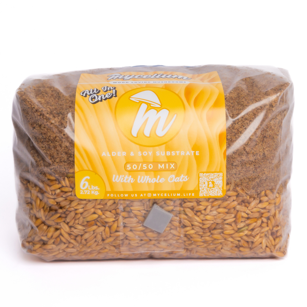 Alder & Soy with Whole Oats Grain All-In-One Bag