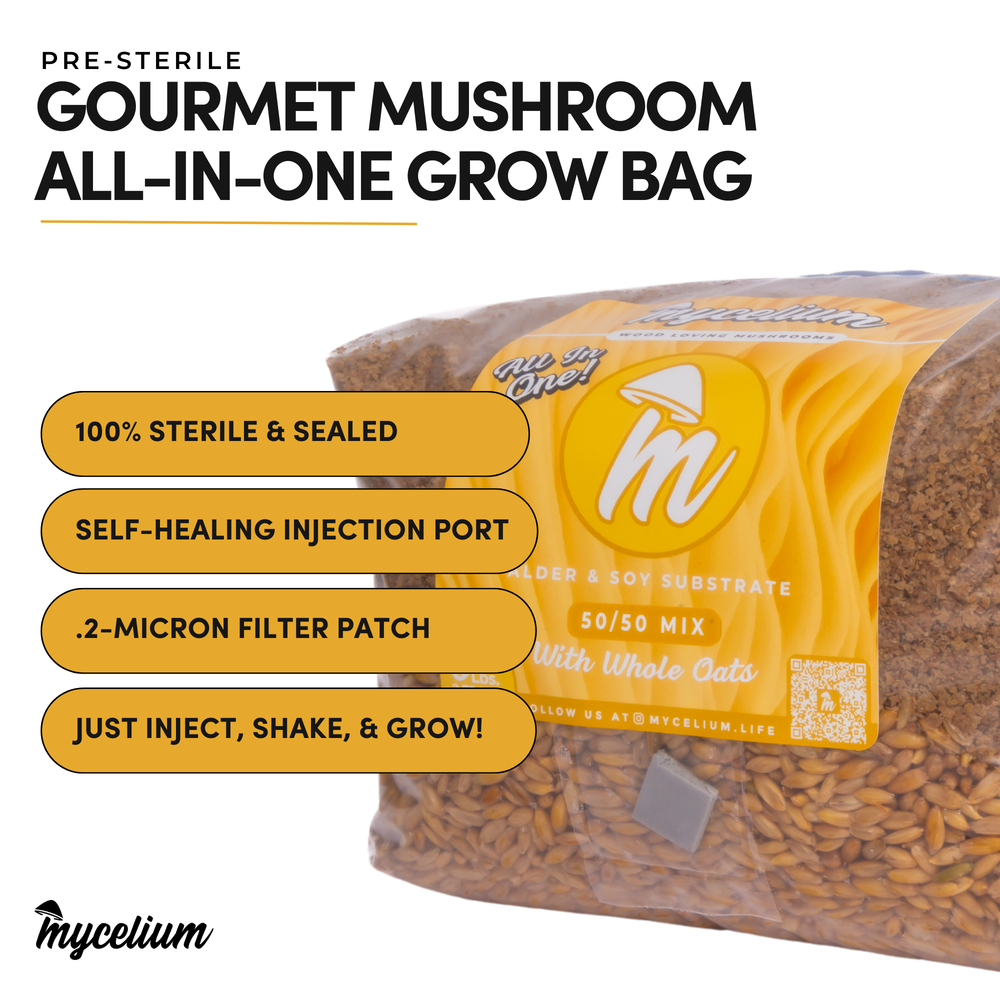 
                      
                        Alder & Soy with Whole Oats Grain All-In-One Bag
                      
                    