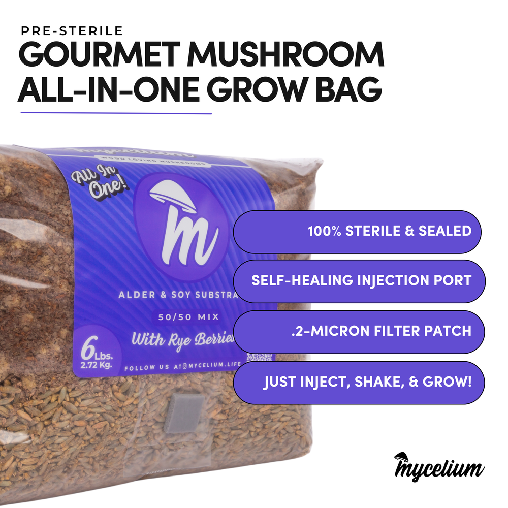 
                      
                        Alder & Soy with Rye Berries Grain All-In-One Bag
                      
                    