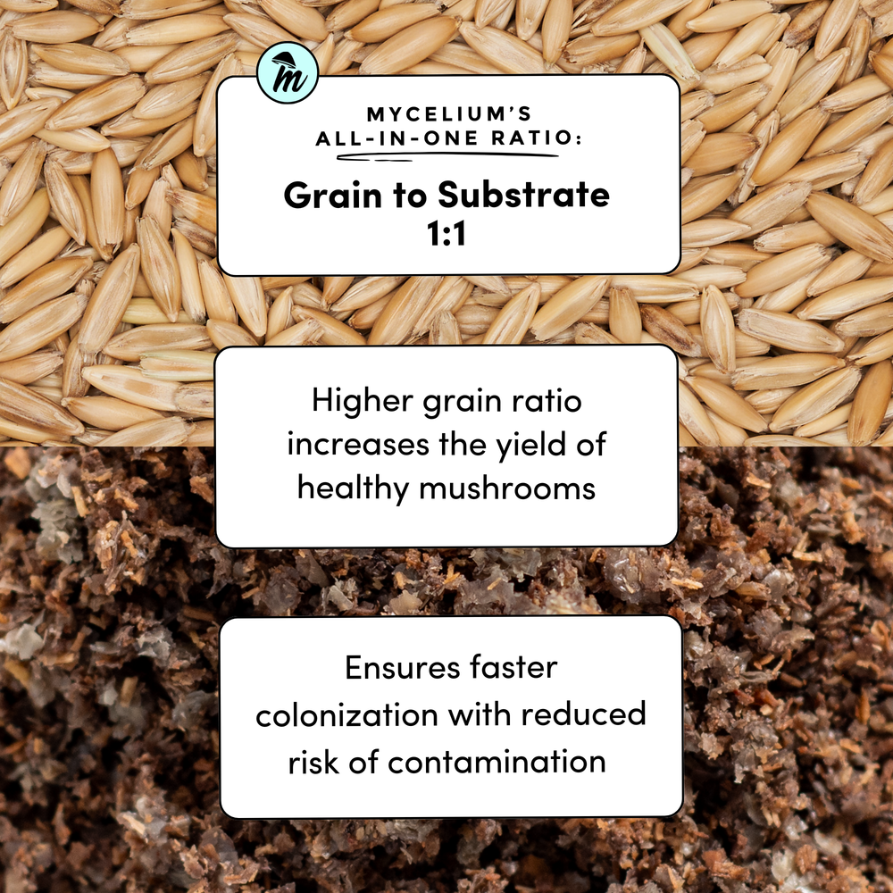 
                      
                        Alder & Soy with Whole Oats Grain All-In-One Bag
                      
                    