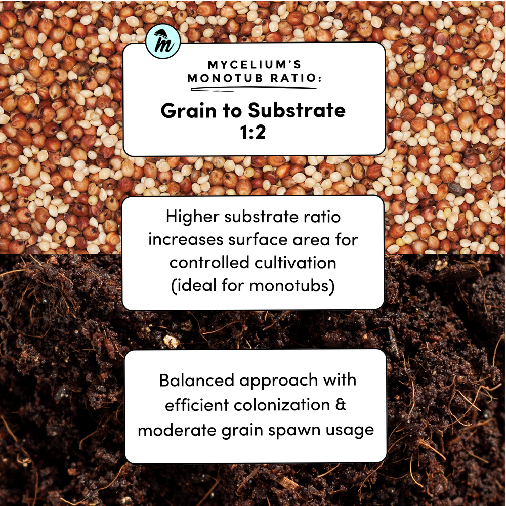 
                      
                        CVG Substrate
                      
                    