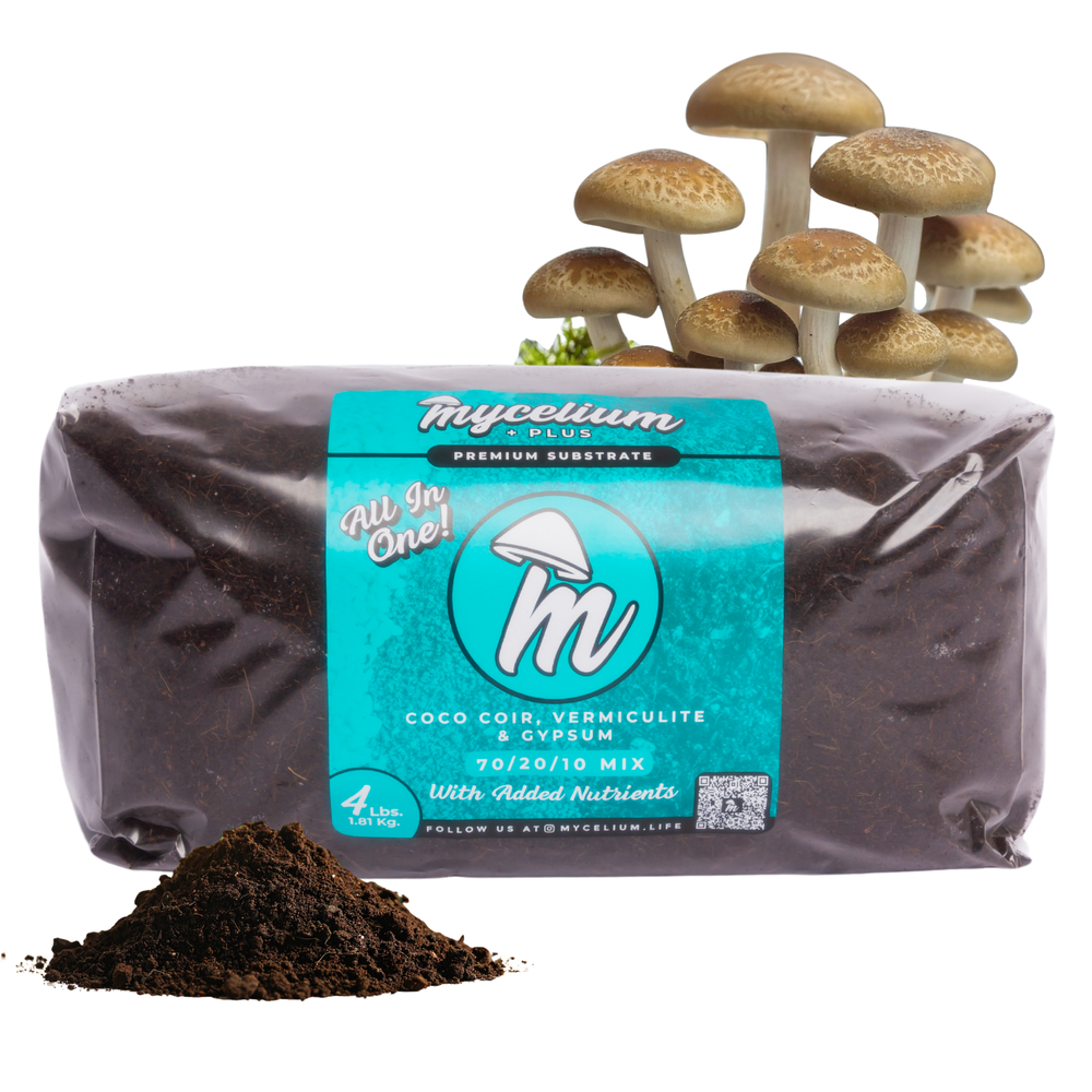 
                      
                        Mycelium+ CVG Substrate
                      
                    