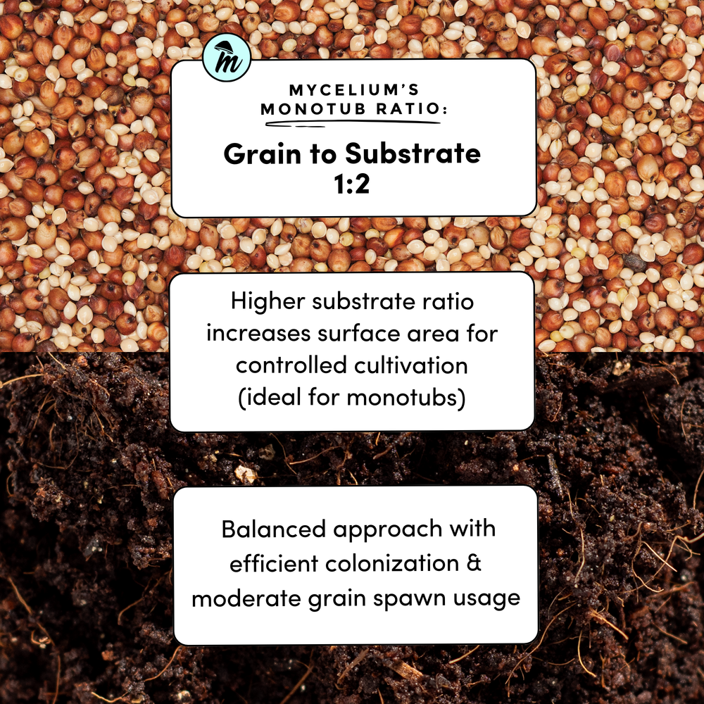 
                      
                        Mycelium+ CVG Substrate
                      
                    