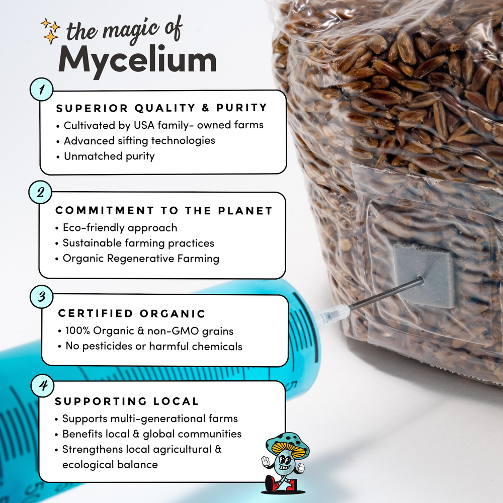 
                      
                        Mycelium+ CVG Substrate
                      
                    