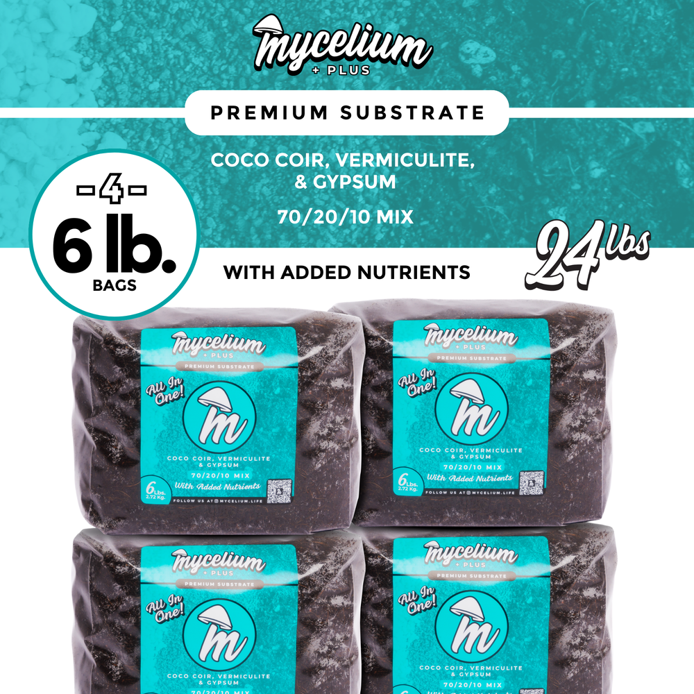 
                      
                        Mycelium+ CVG Substrate
                      
                    