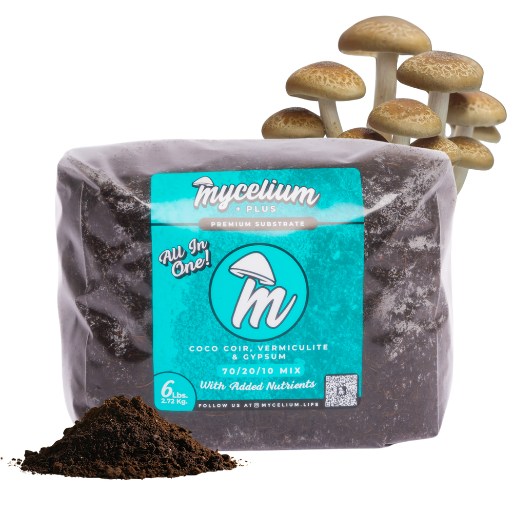 
                      
                        Mycelium+ CVG Substrate
                      
                    