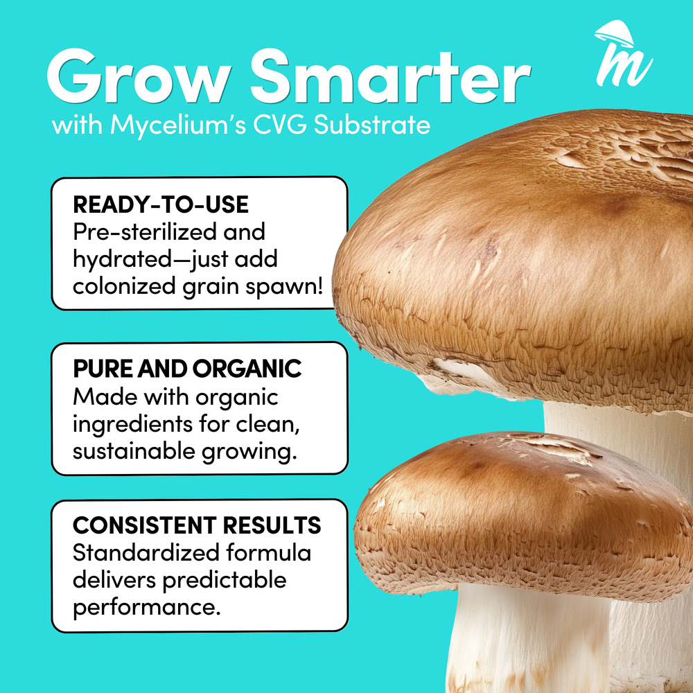 
                      
                        Mycelium+ CVG Substrate
                      
                    