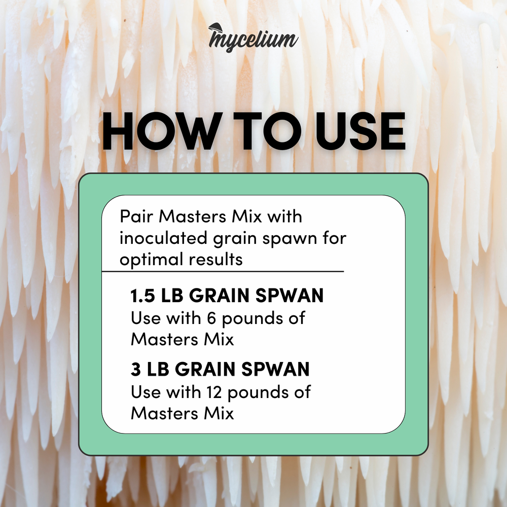 
                      
                        Mycelium+ Alder & Soy Hull Masters Mix - 6 LBS
                      
                    