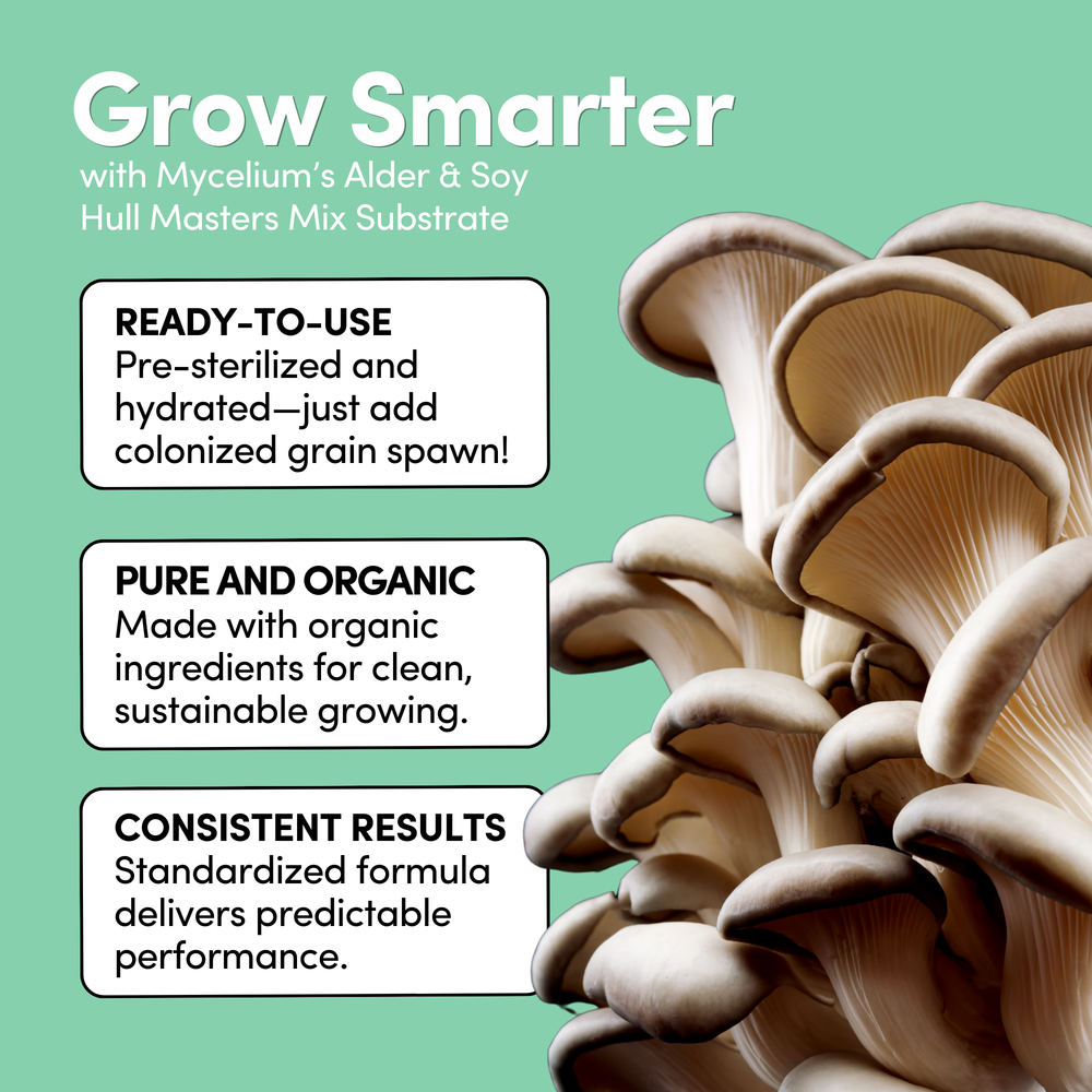 
                      
                        Mycelium+ Alder & Soy Hull Masters Mix - 6 LBS
                      
                    